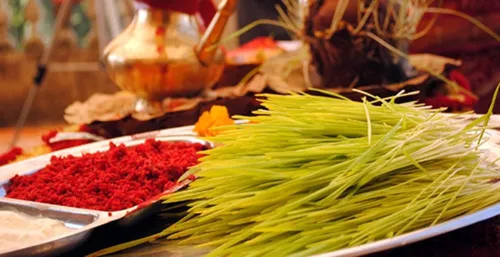 Jamara and tika on a plate for Dashain